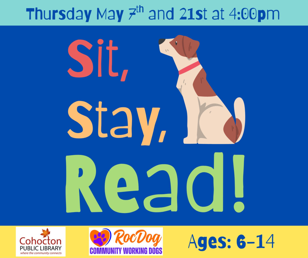 Image of dog on bright blue background for sit stay read program.